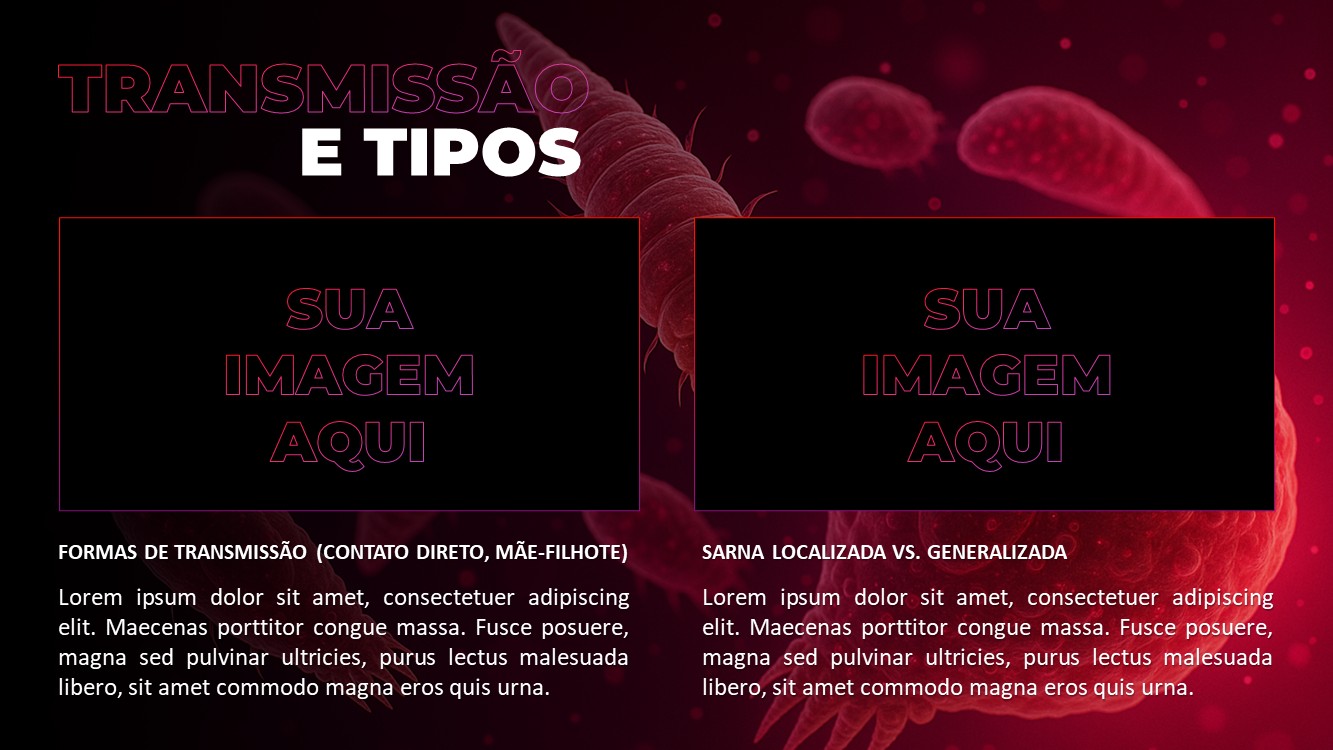 Slide4