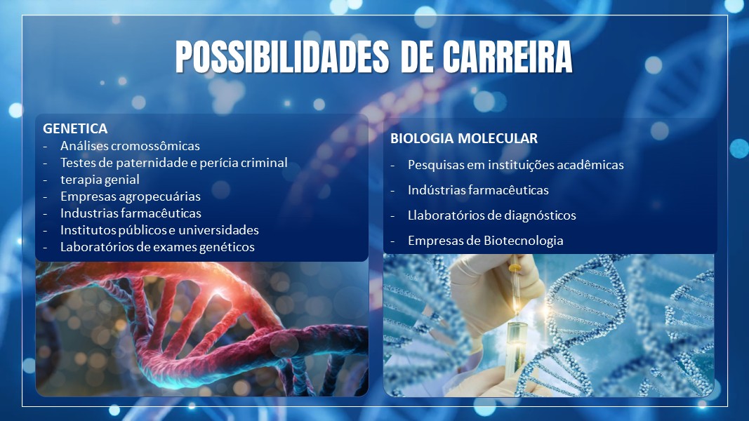 Slide7
