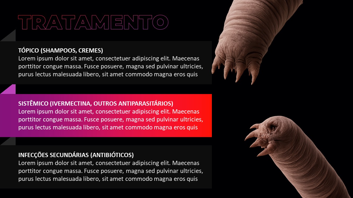 Slide7