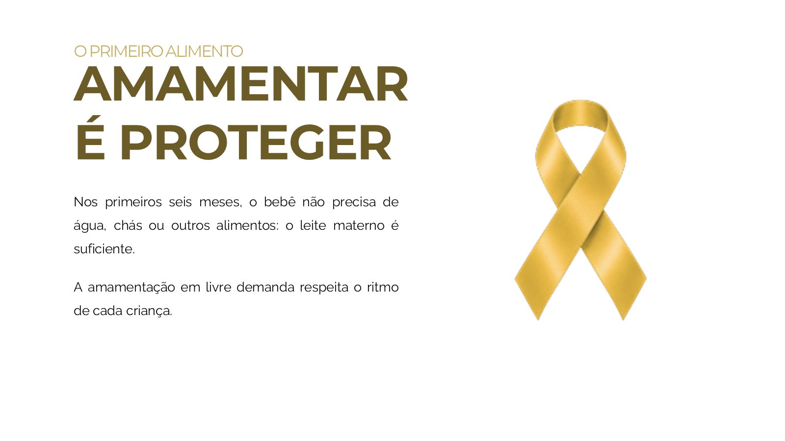 agosto-dourado-v2-slide13