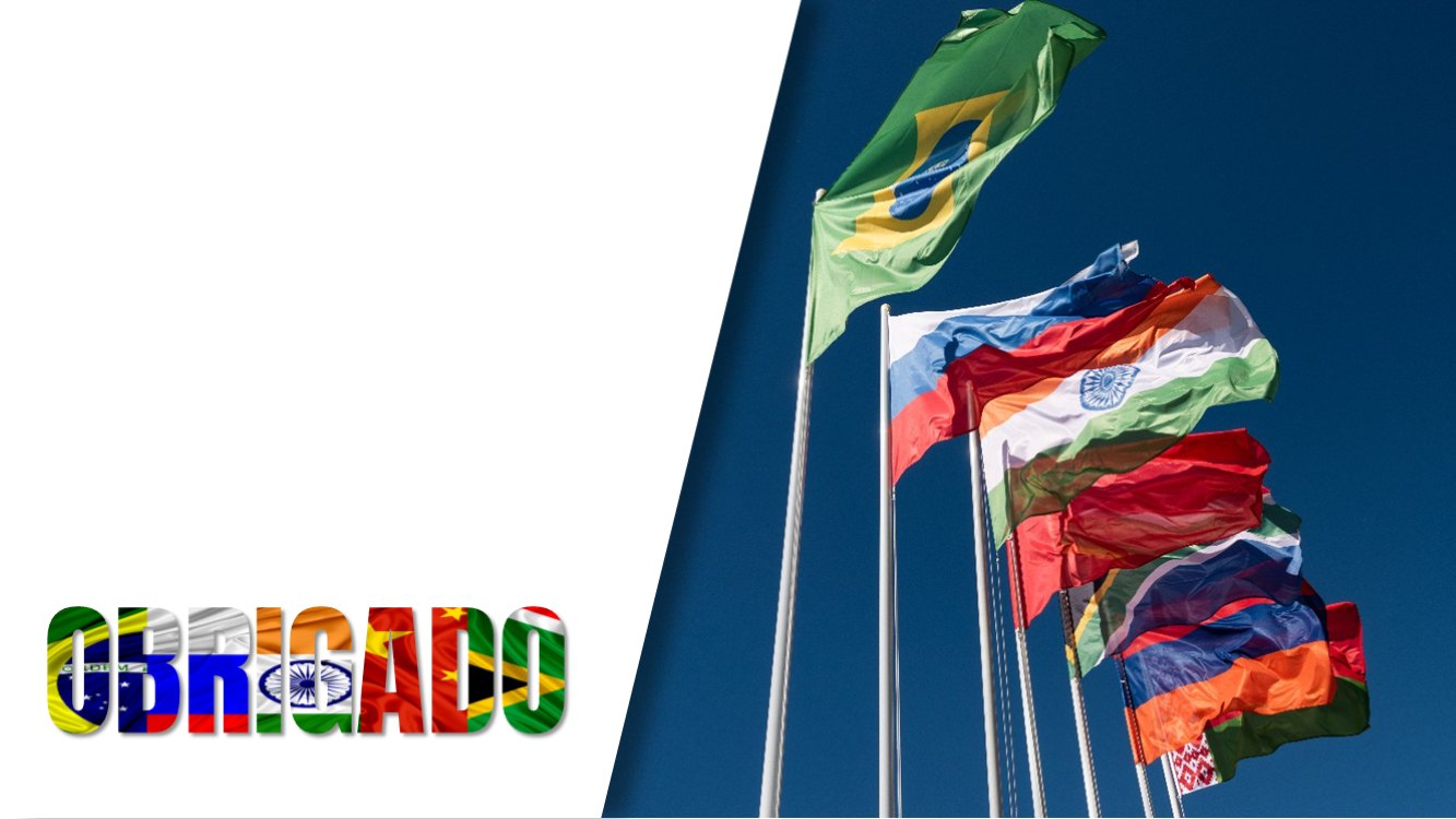 brics-slide8