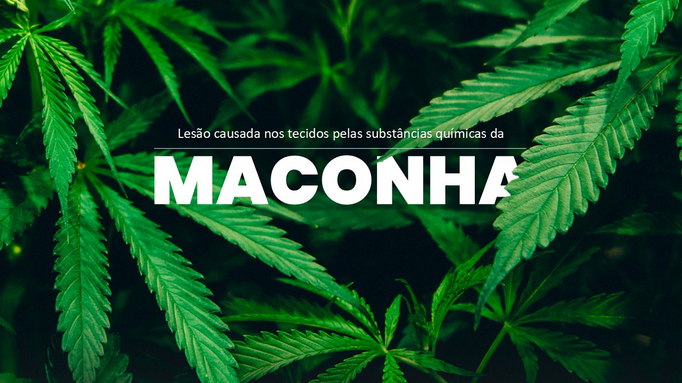 cannabis-slide1