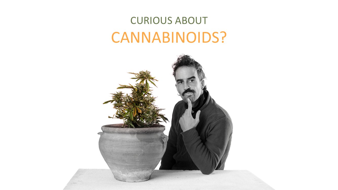 cannabis-slide6