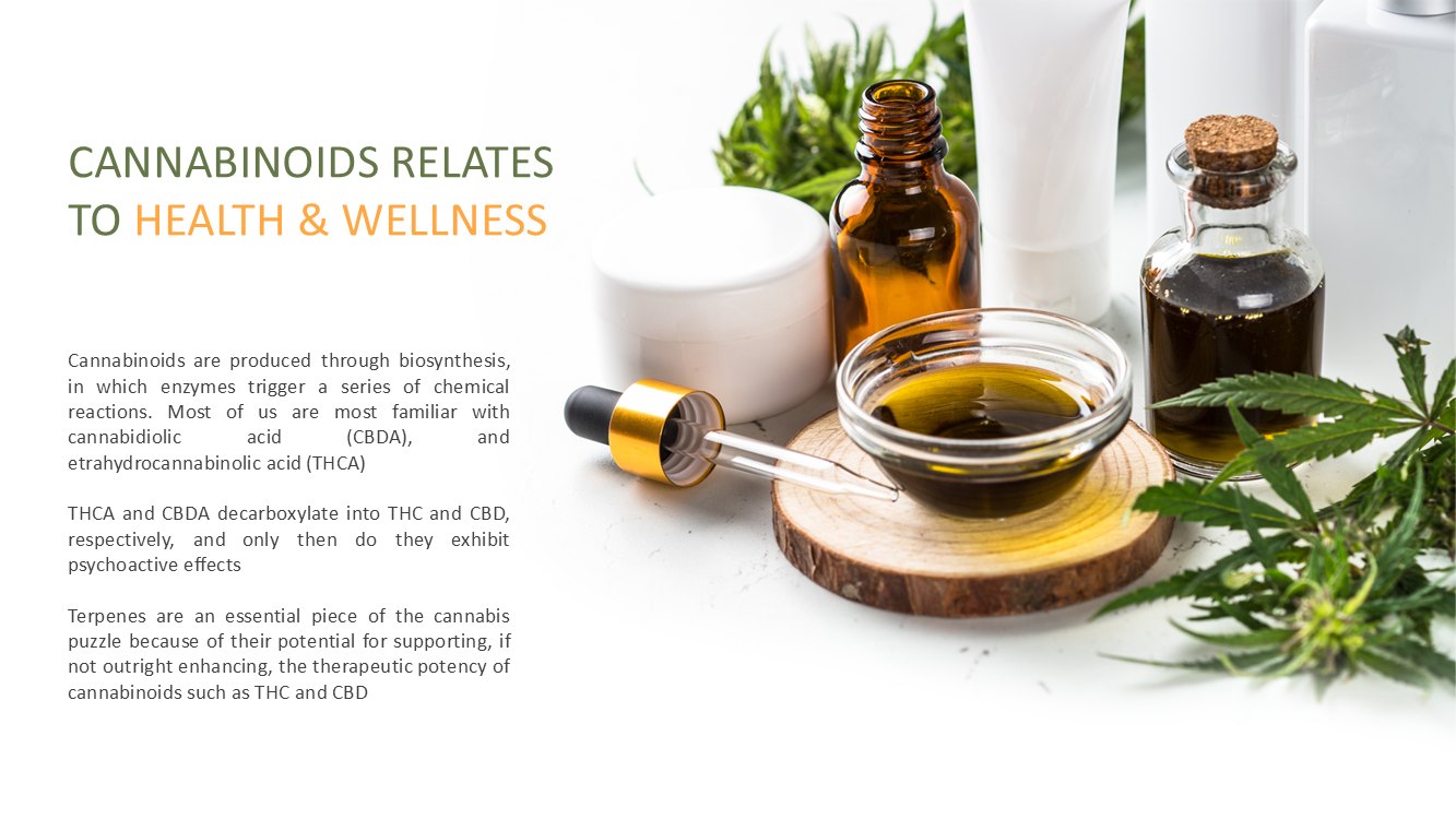 cannabis-slide7