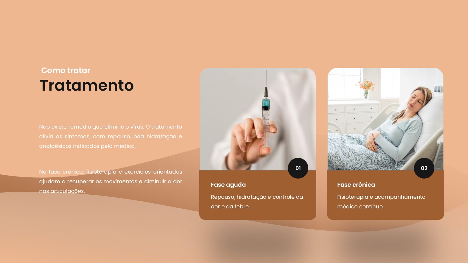 Chikungunya – slide 10