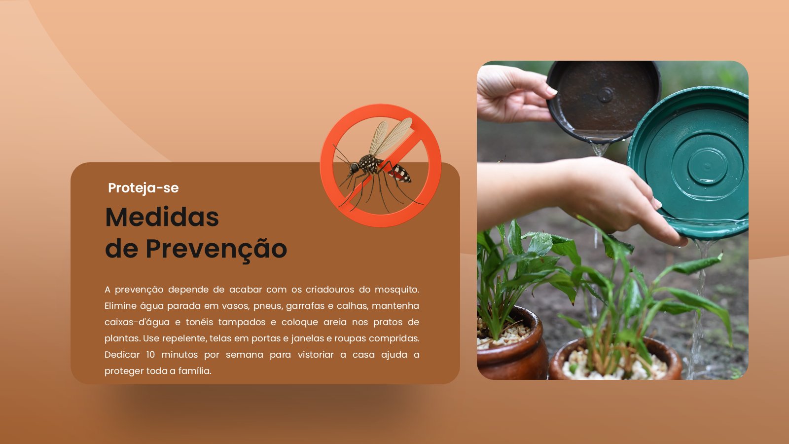 Chikungunya – slide 11