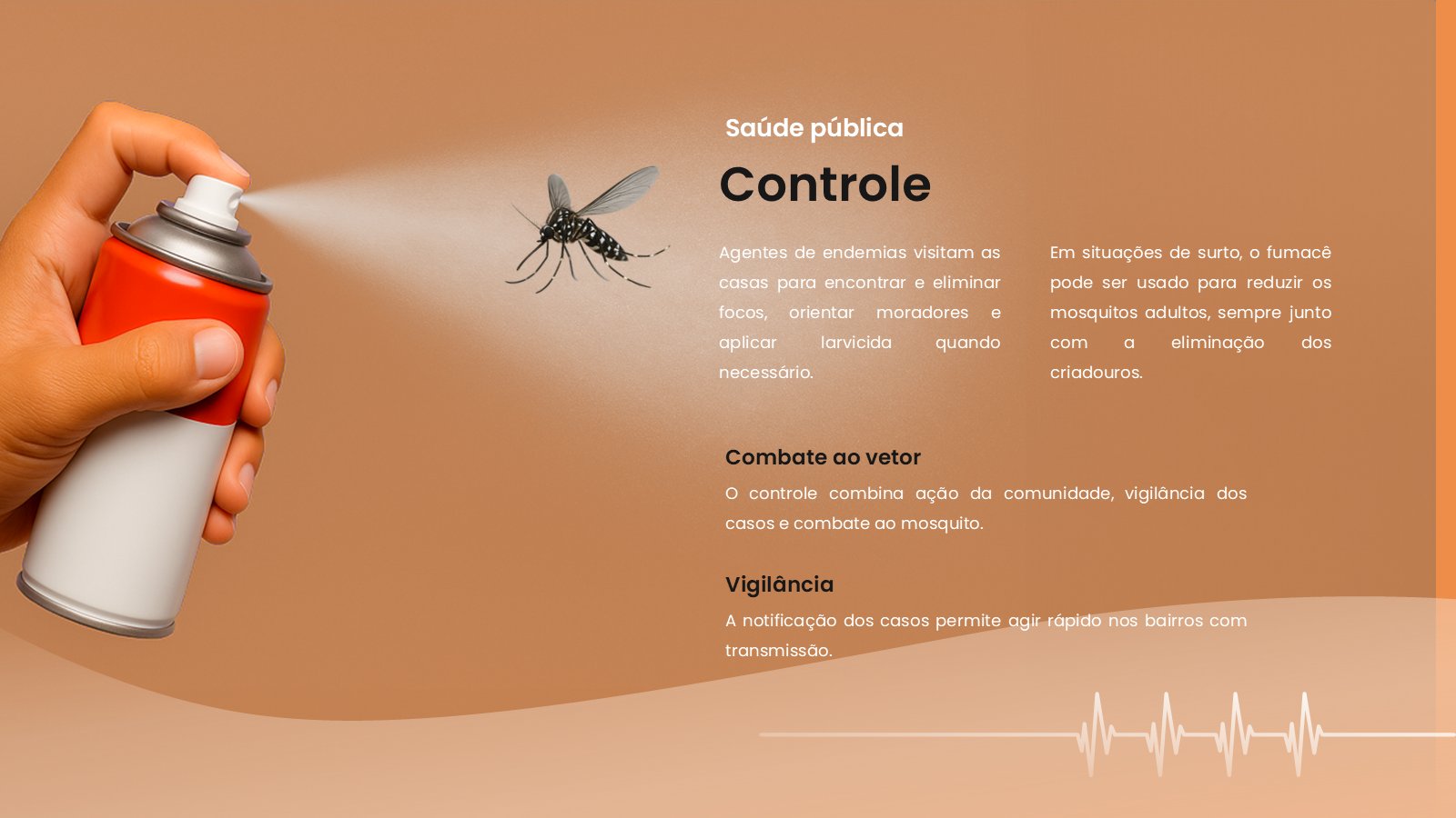 Chikungunya – slide 12