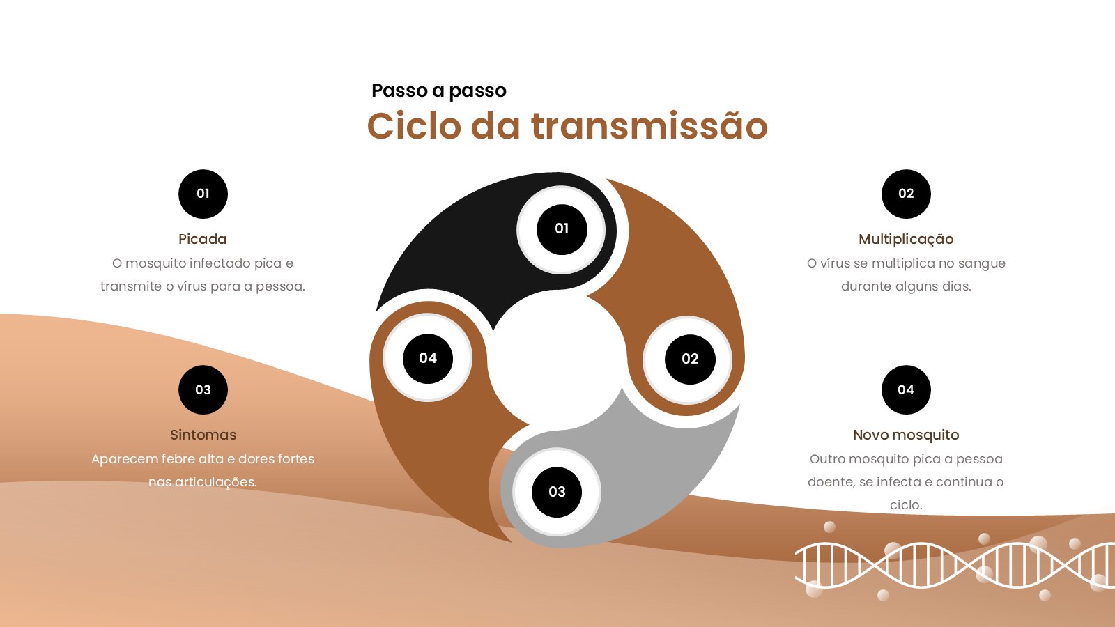 Chikungunya – slide 14