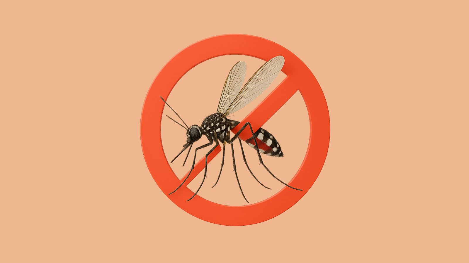 Chikungunya – slide 16