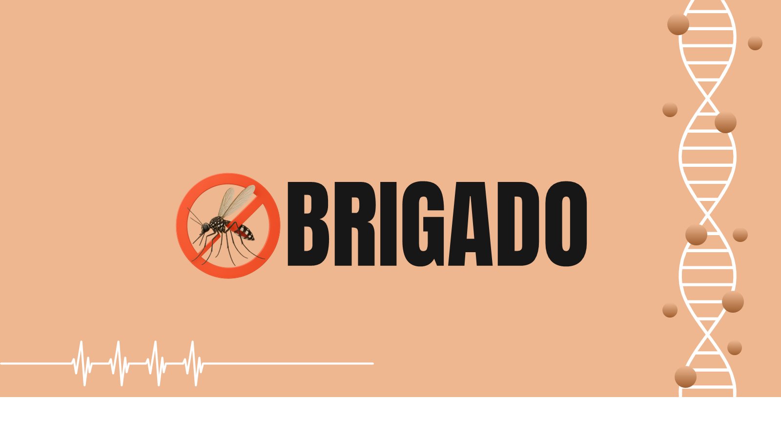 Chikungunya – slide 17