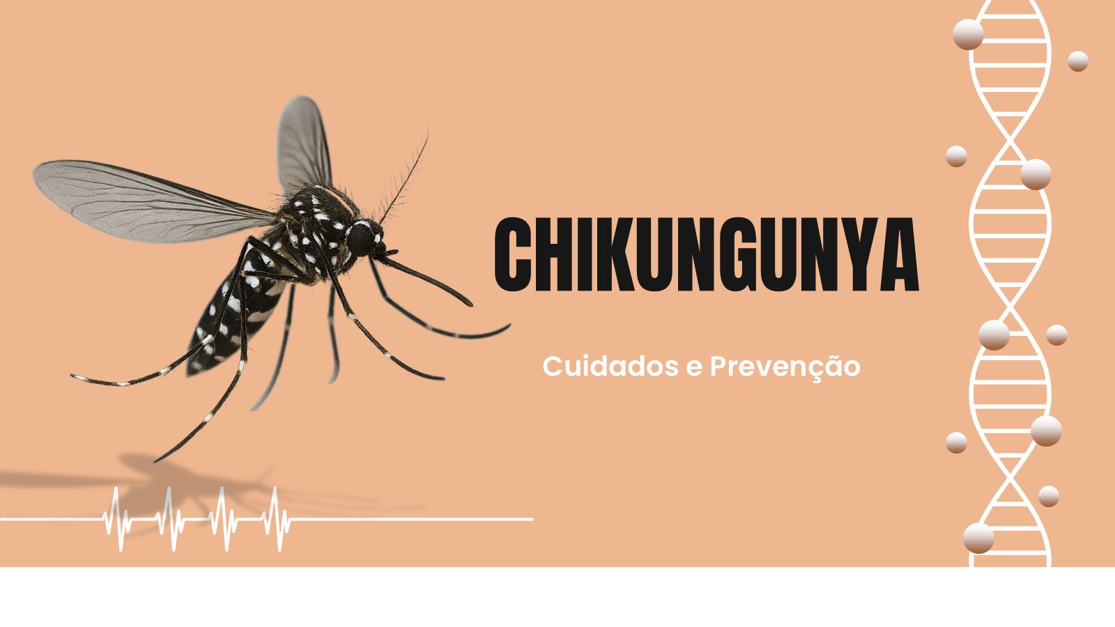 Chikungunya – slide 2