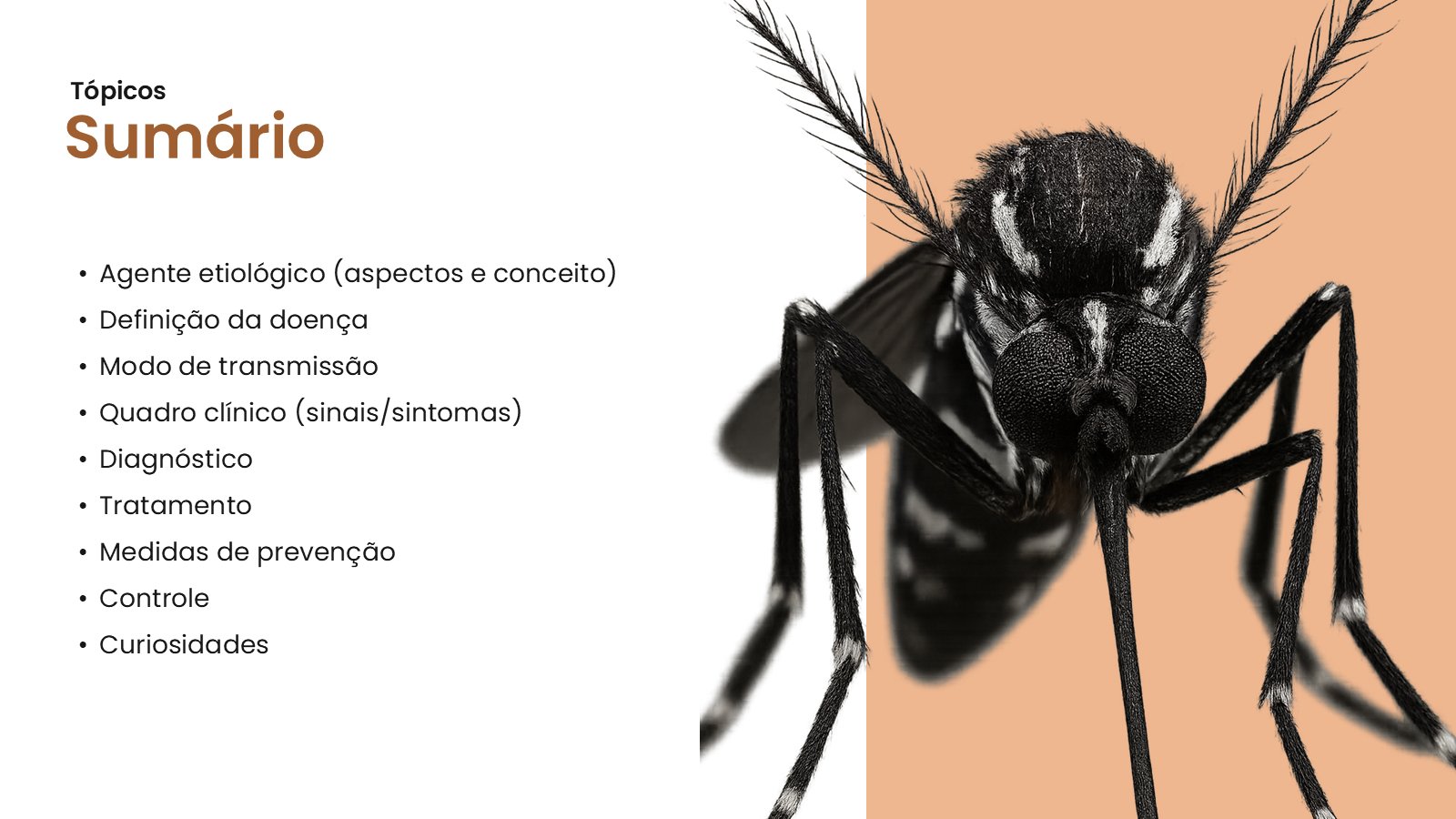 Chikungunya – slide 3