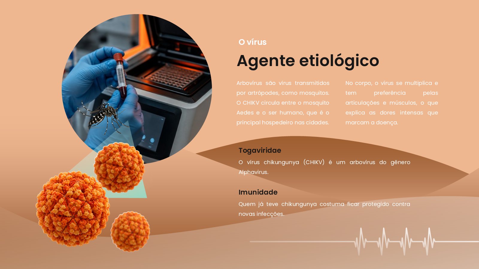 Chikungunya – slide 5