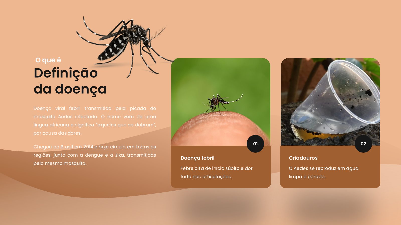 Chikungunya – slide 6