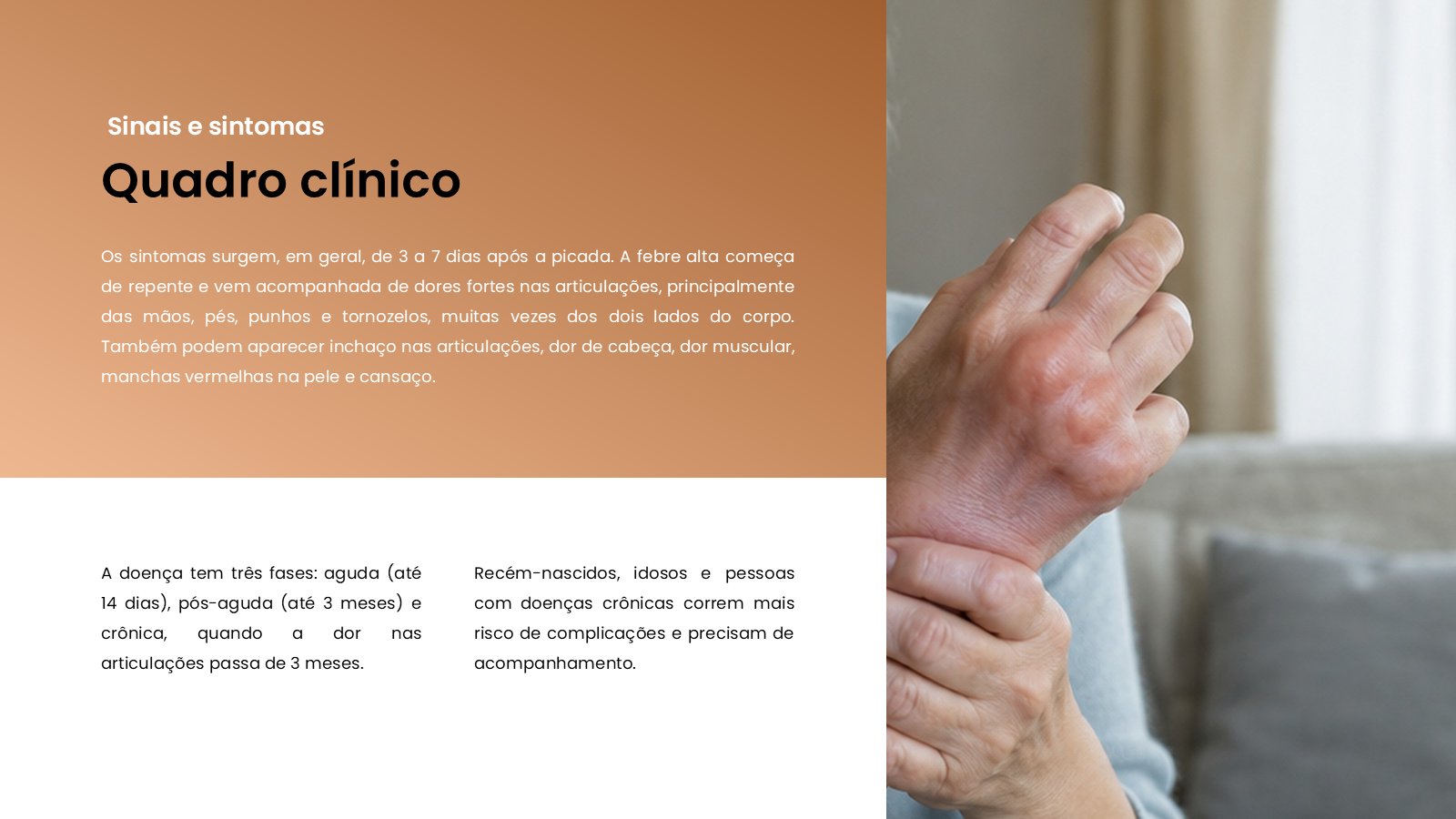 Chikungunya – slide 8