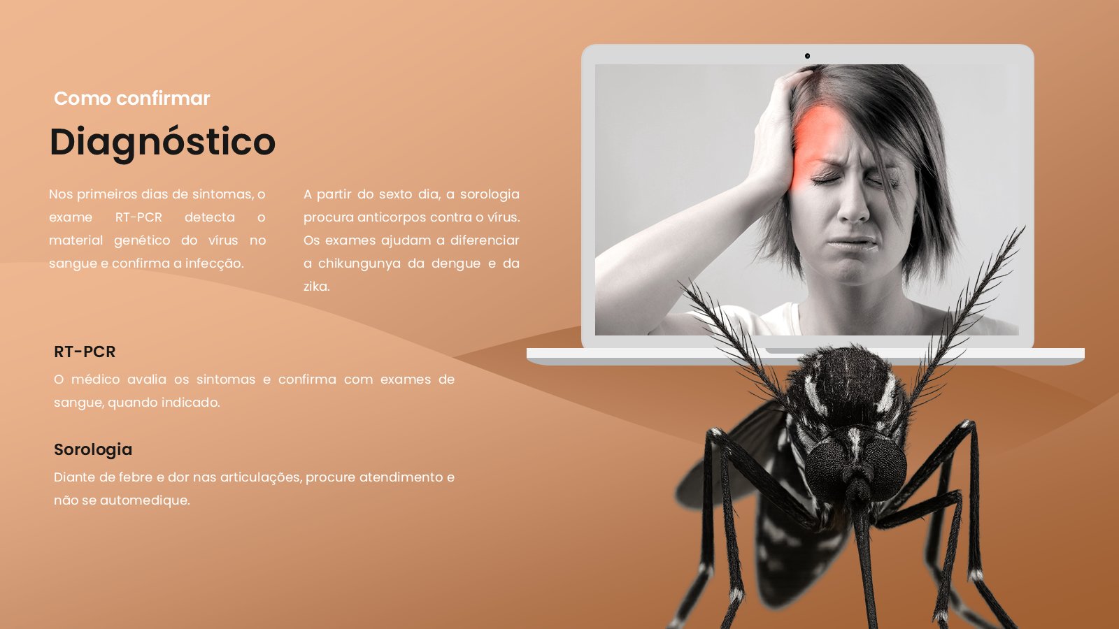Chikungunya – slide 9