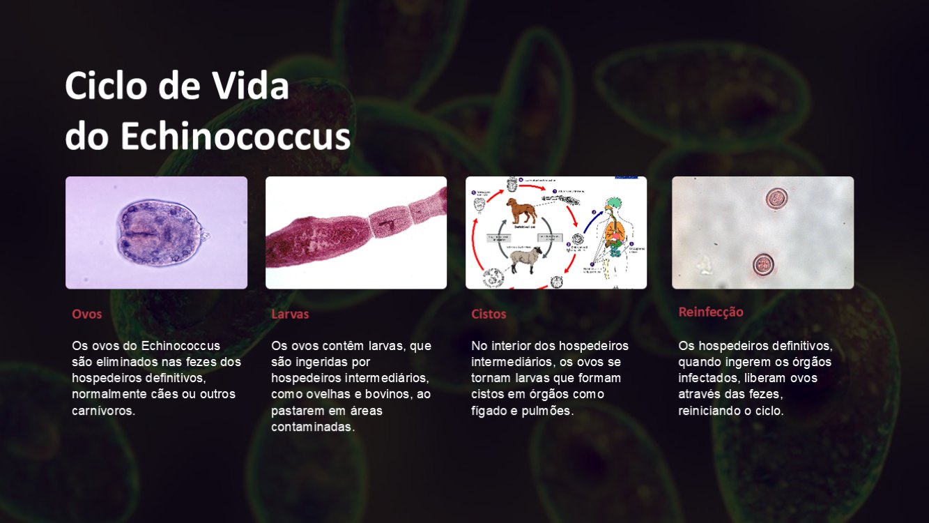 echinococcus-slide3