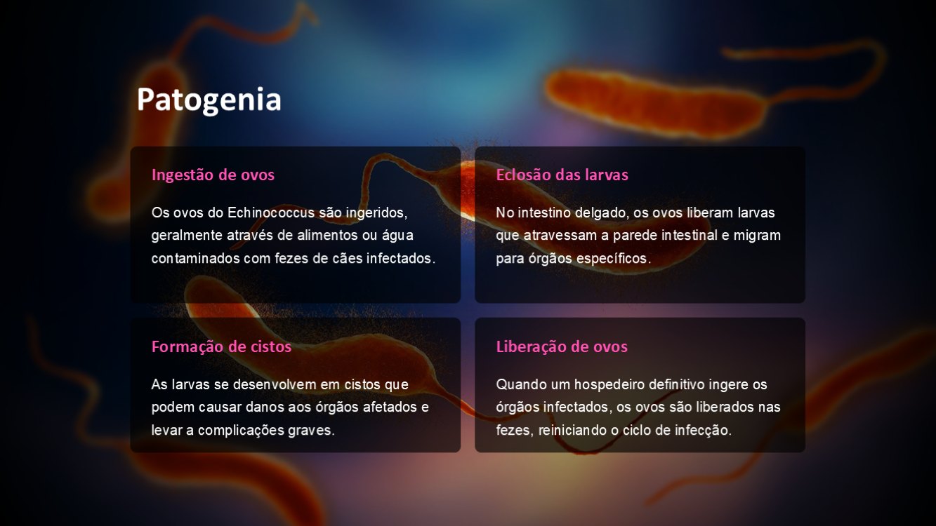 echinococcus-slide5