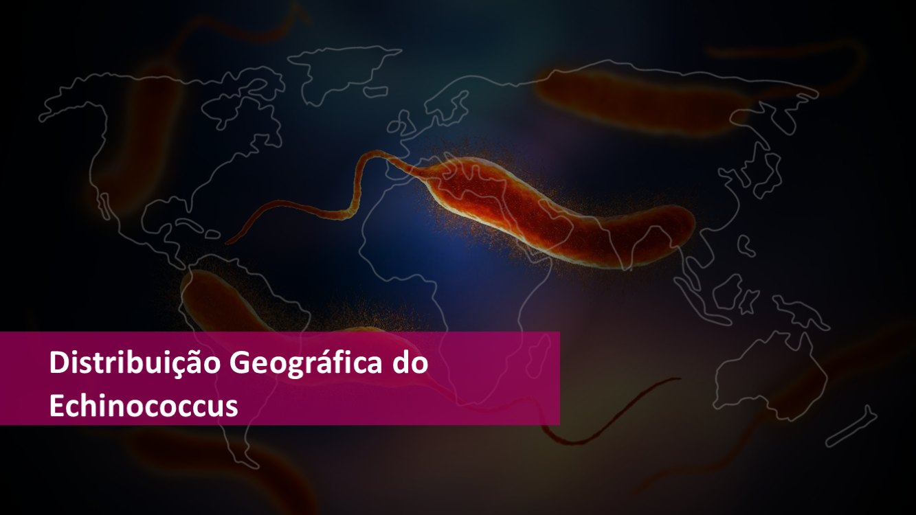 echinococcus-slide9