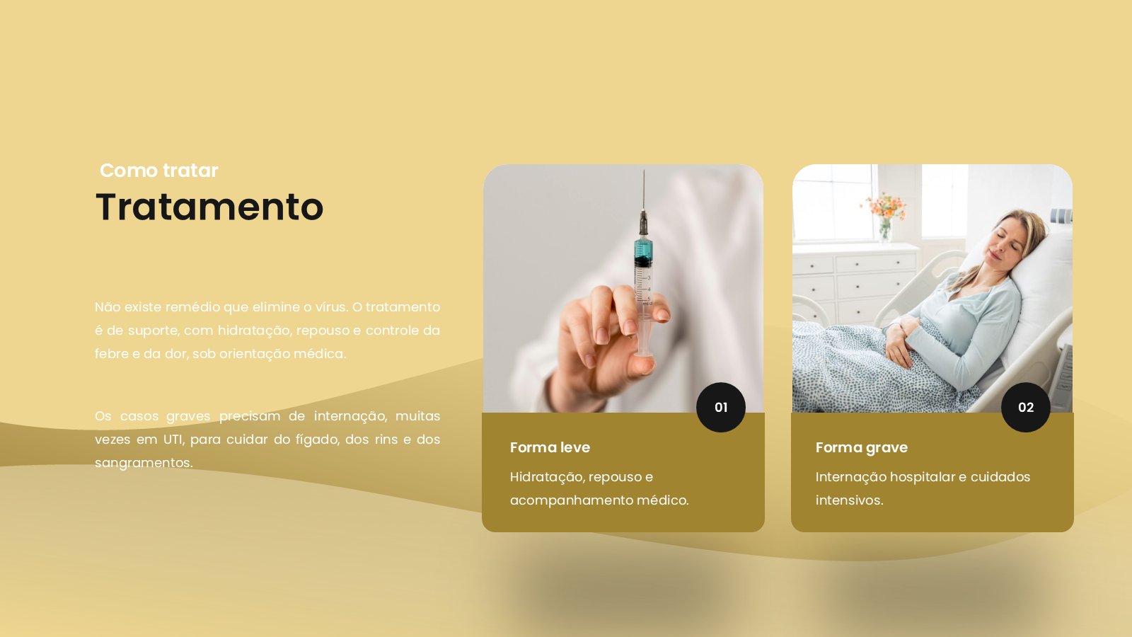 Febre Amarela – slide 10