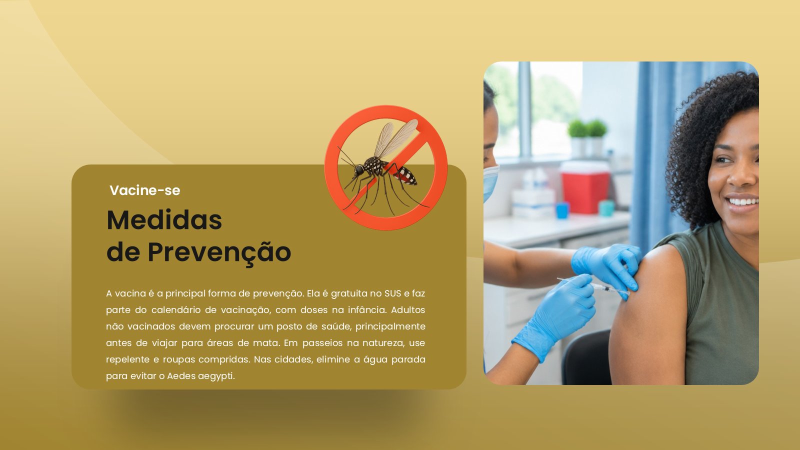 Febre Amarela – slide 11