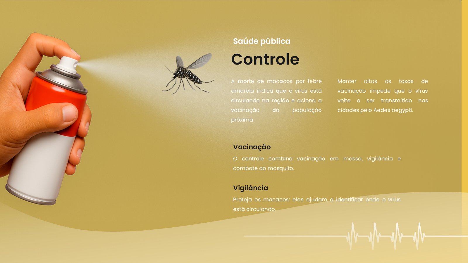 Febre Amarela – slide 12