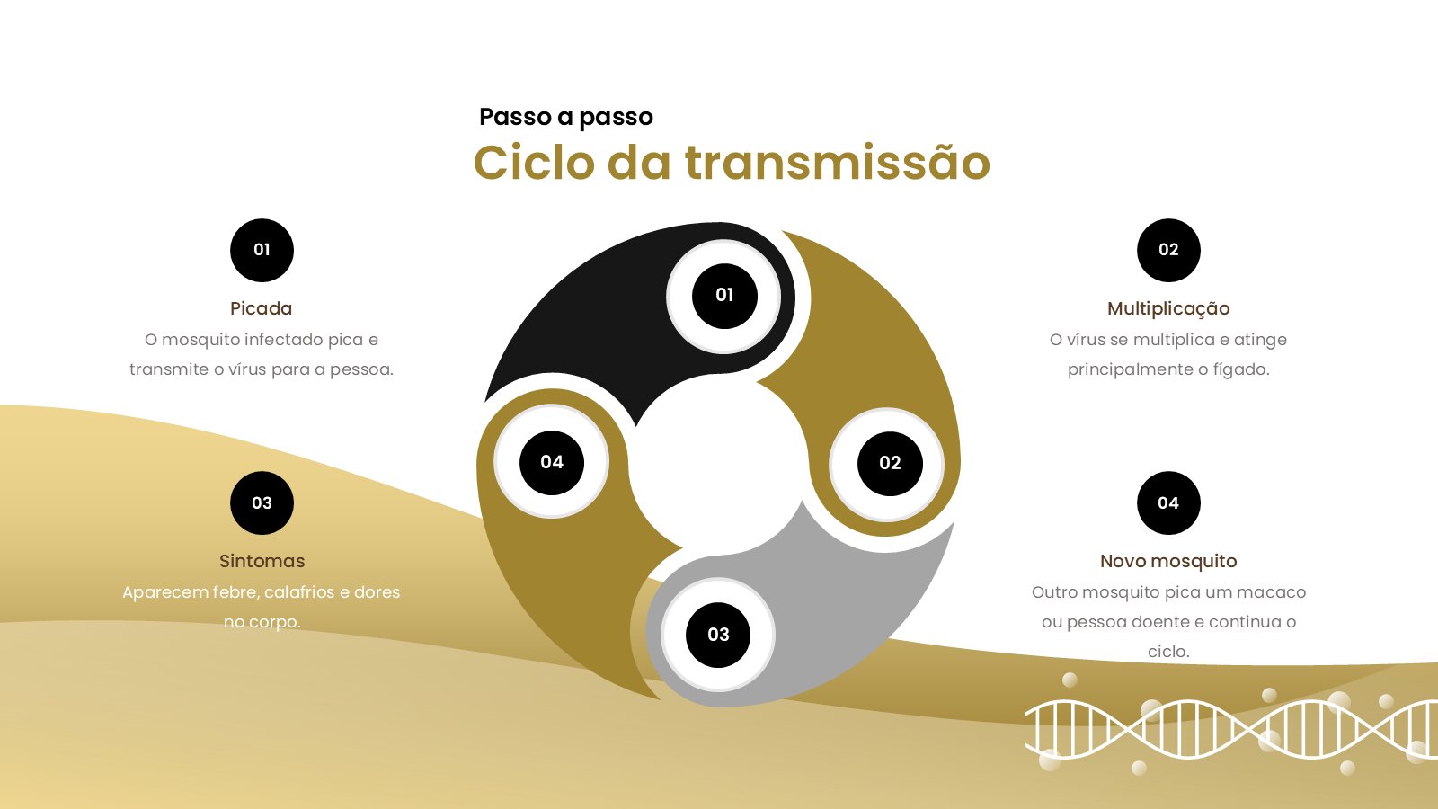 Febre Amarela – slide 14