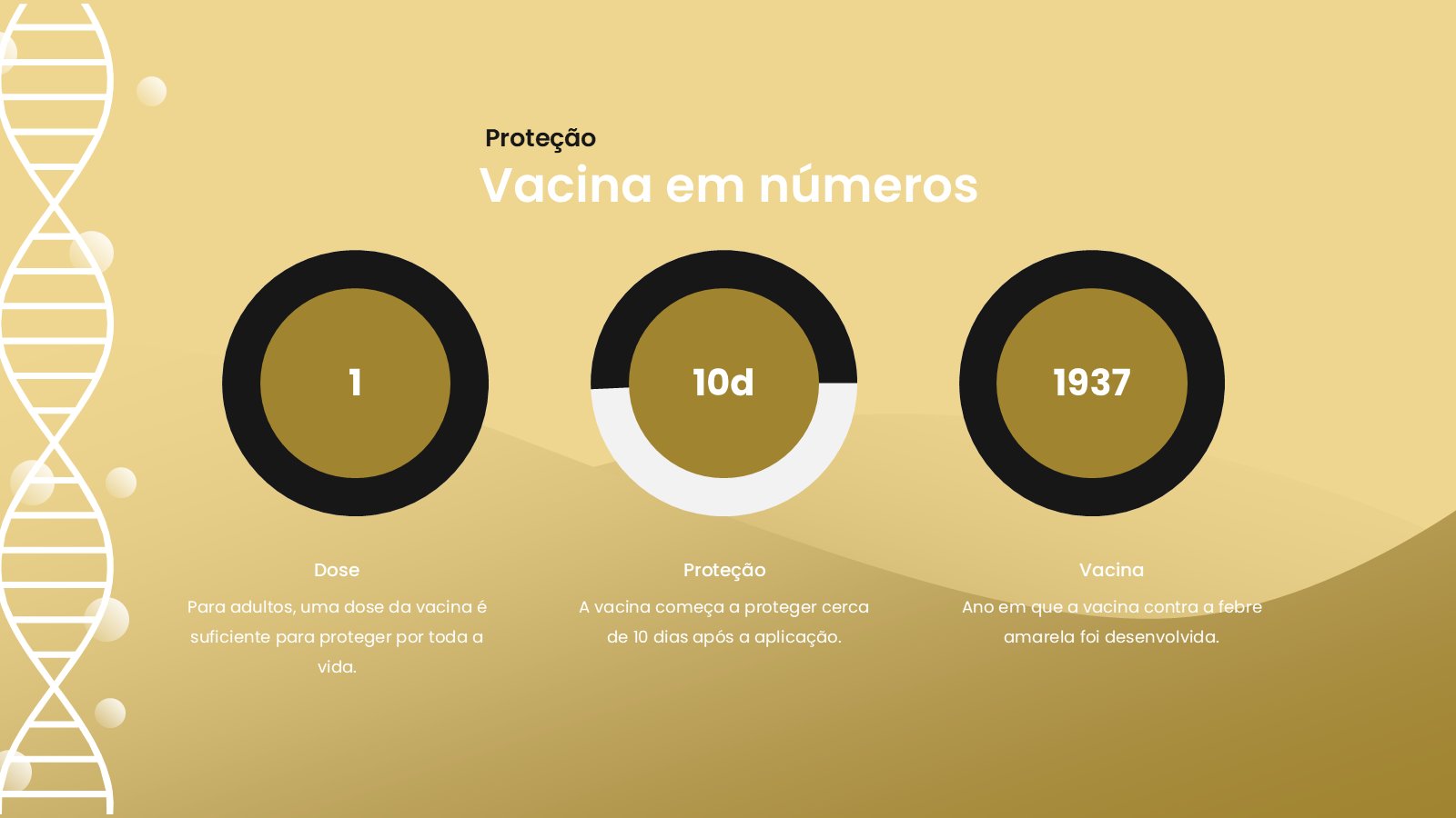 Febre Amarela – slide 15