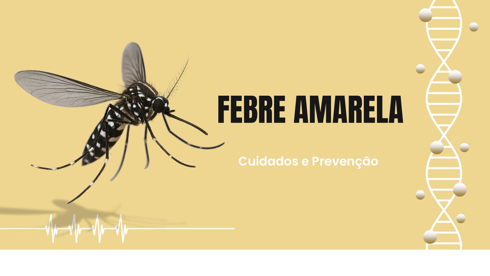 Febre Amarela – slide 2