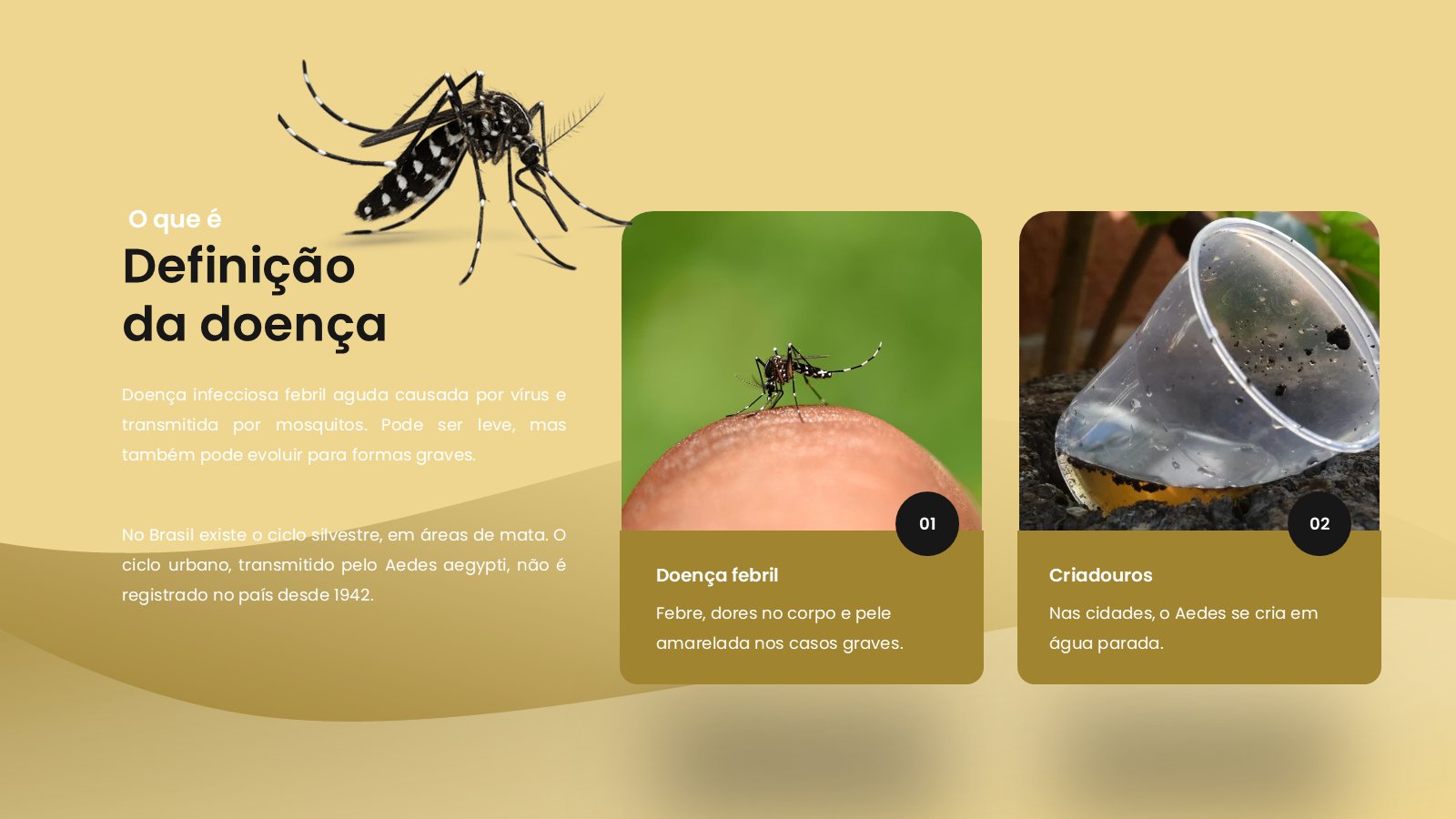Febre Amarela – slide 6