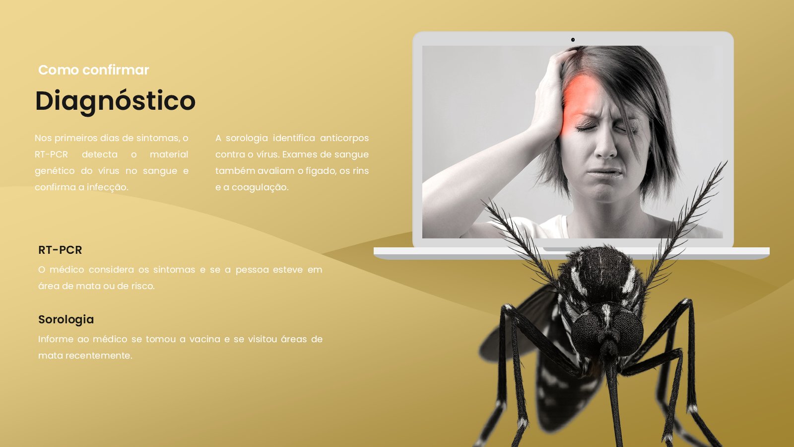 Febre Amarela – slide 9