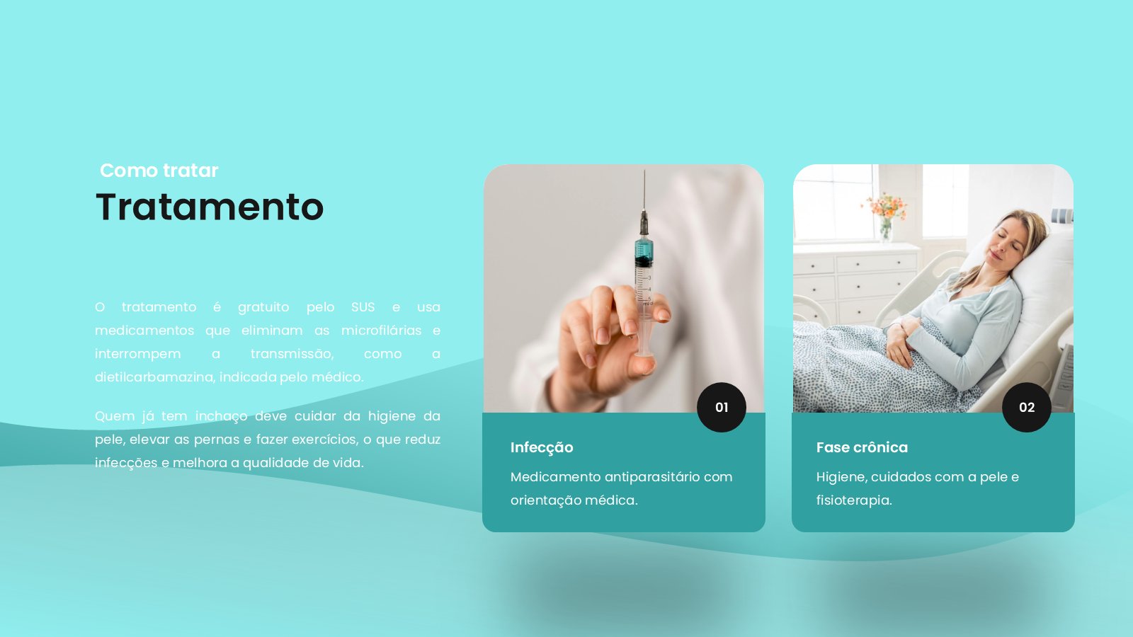 Filariose – slide 10