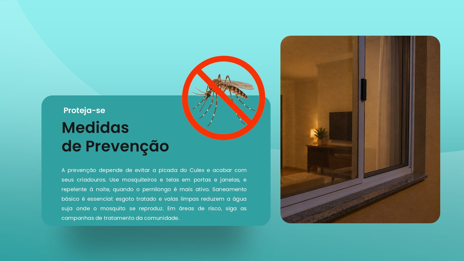 Filariose – slide 11