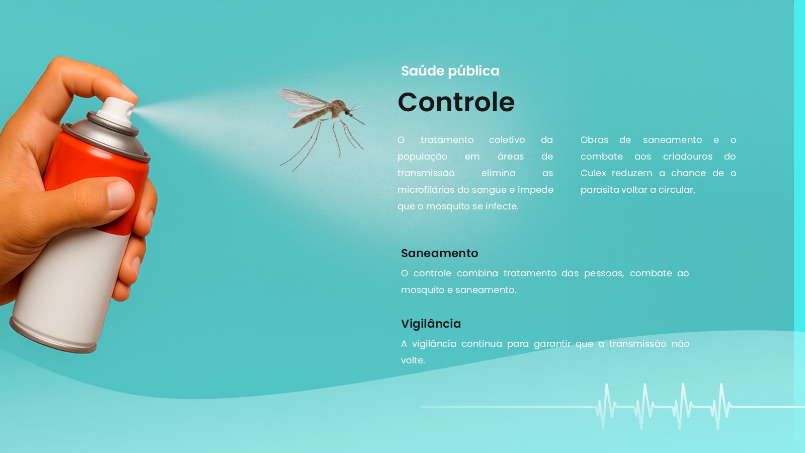 Filariose – slide 12