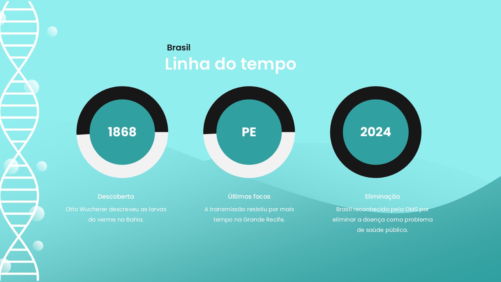 Filariose – slide 15