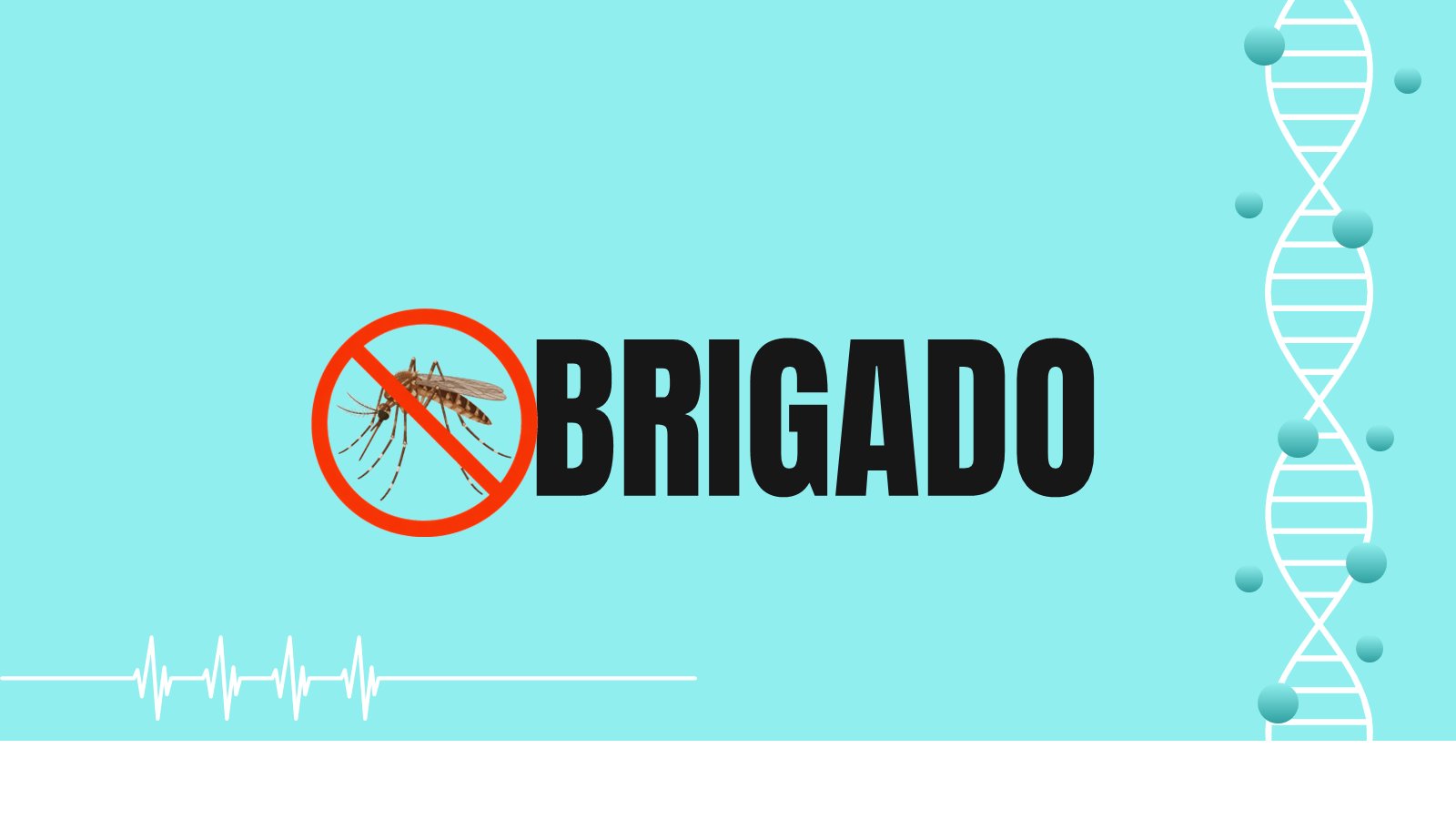 Filariose – slide 17