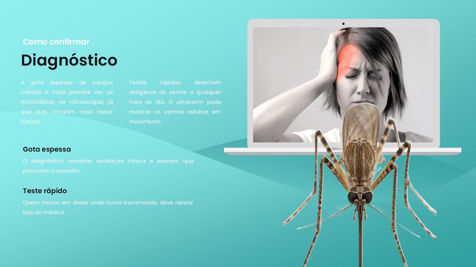 Filariose – slide 9