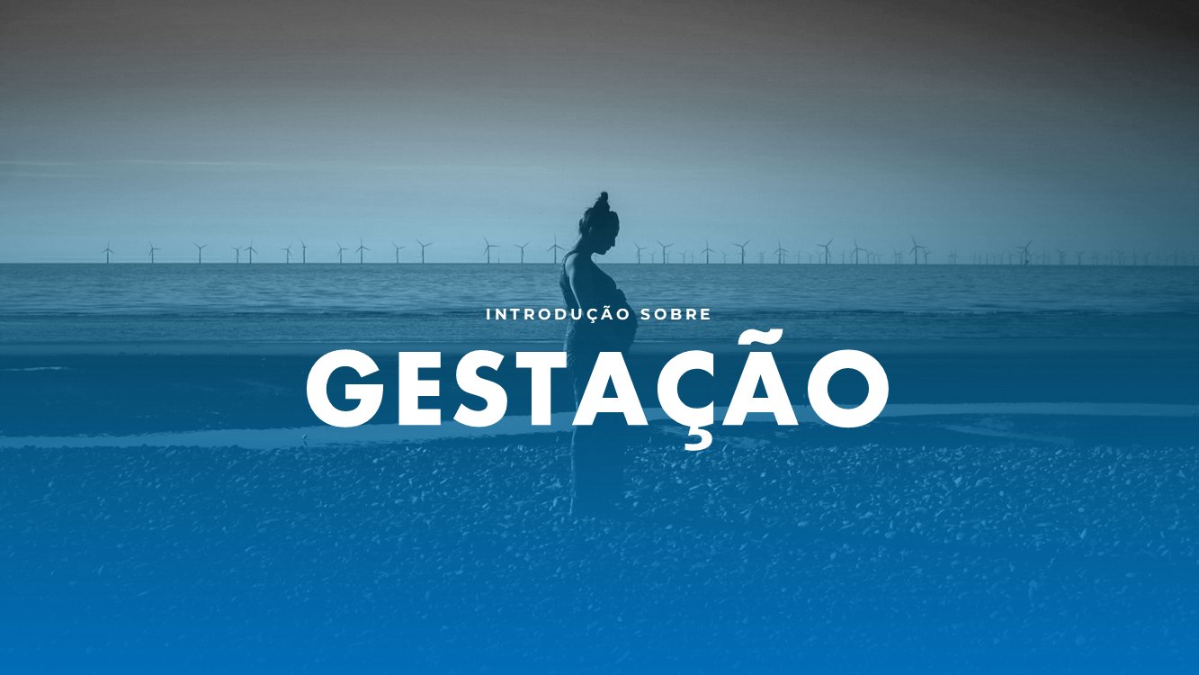 gestacao-slide1