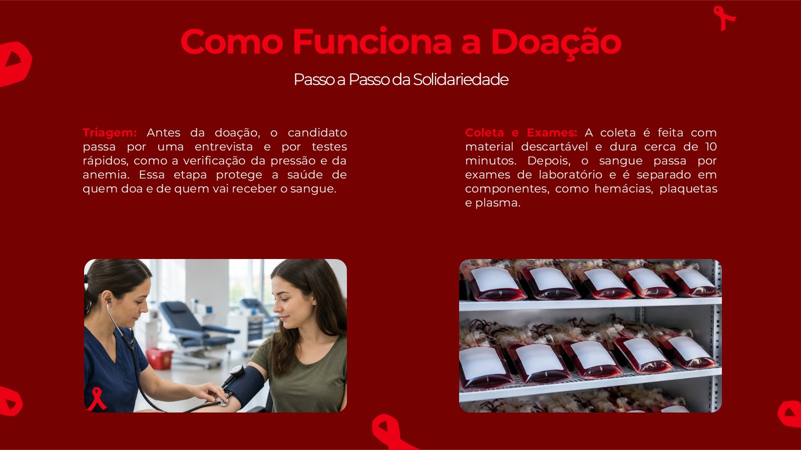 Junho Vermelho – slide 10