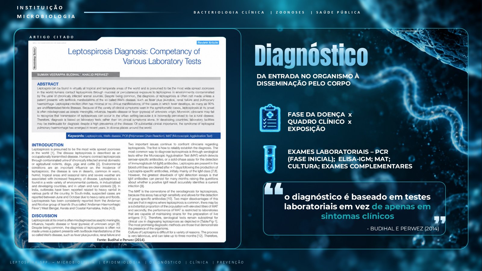 Leptospira – slide 11