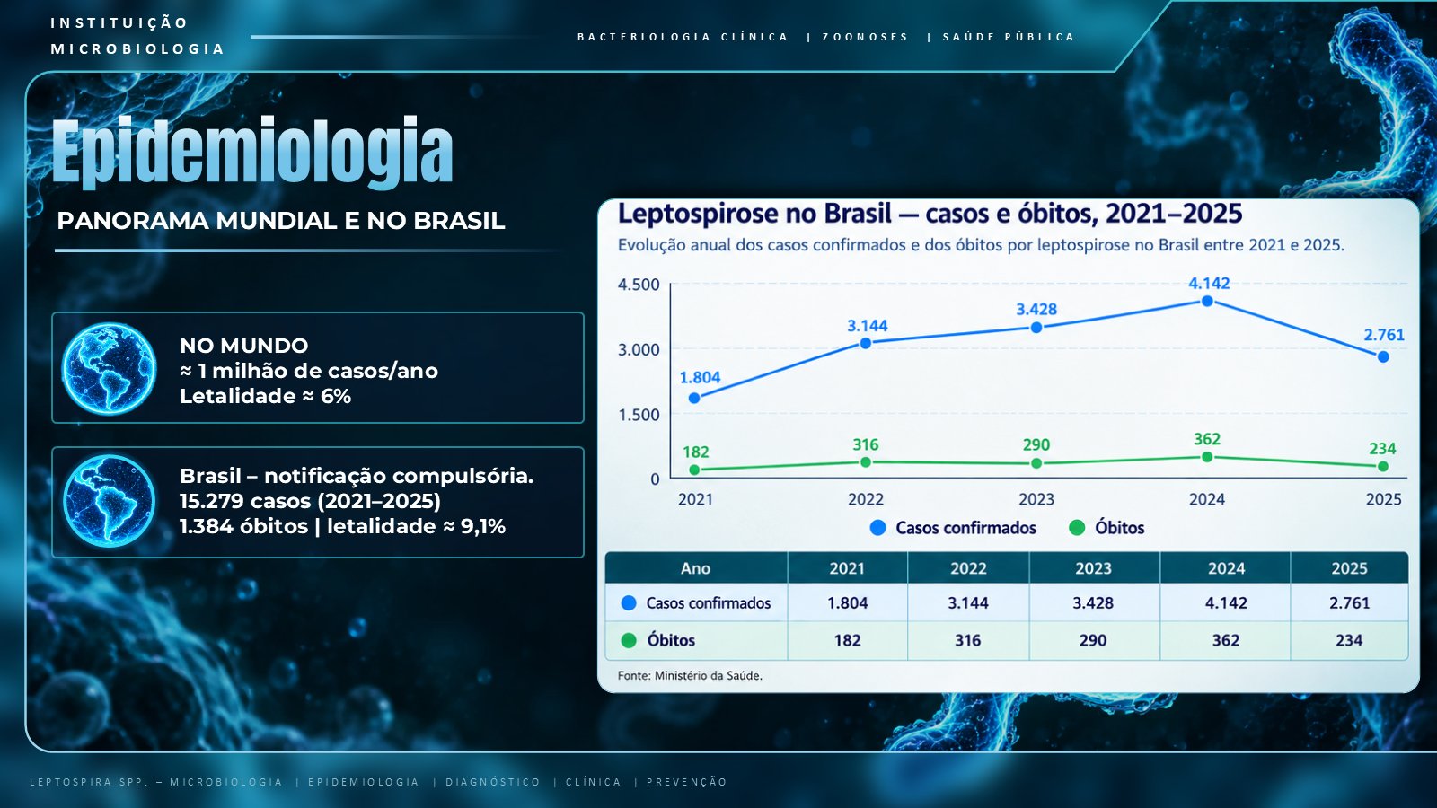 Leptospira – slide 8