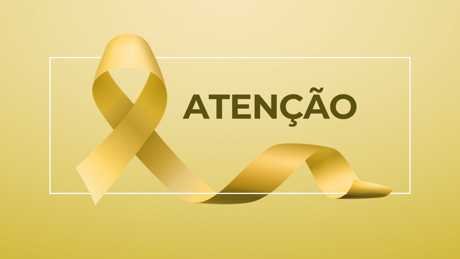 Maio Amarelo – slide 12
