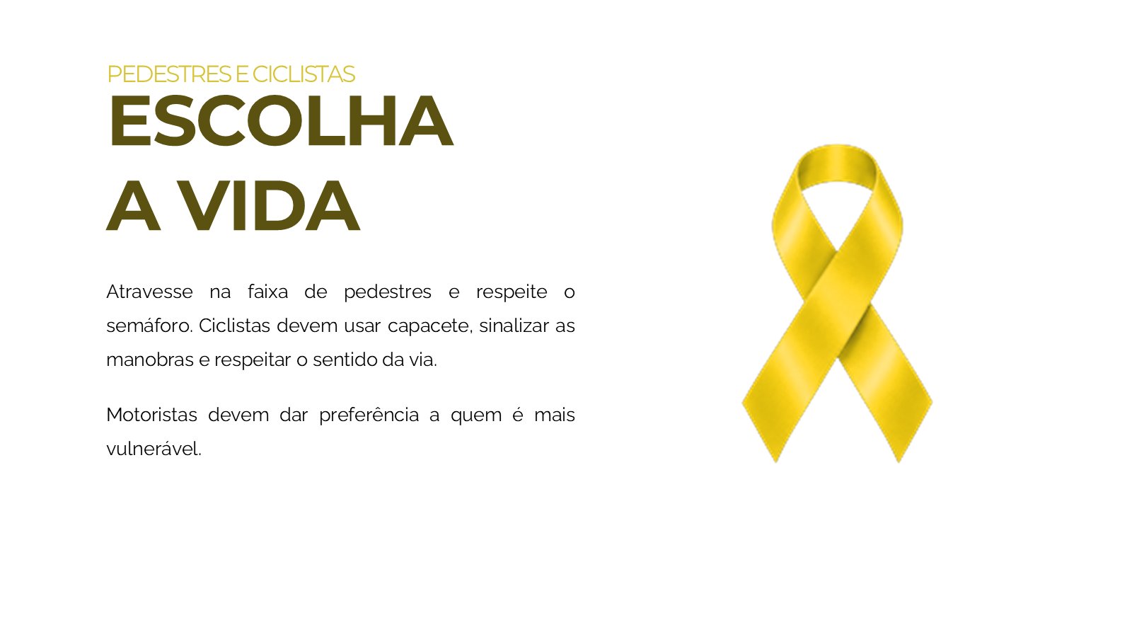 Maio Amarelo – slide 13
