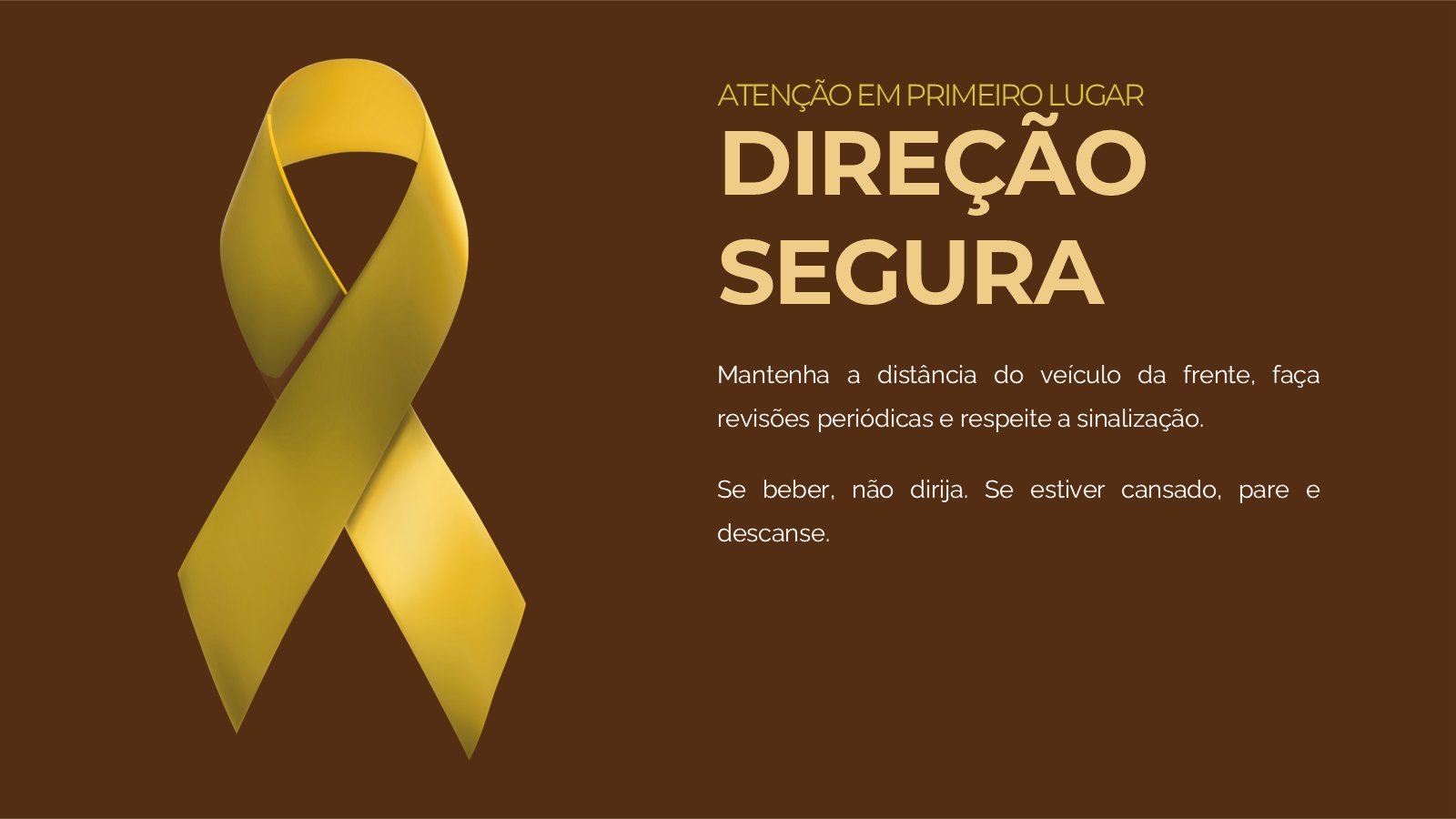 Maio Amarelo – slide 14