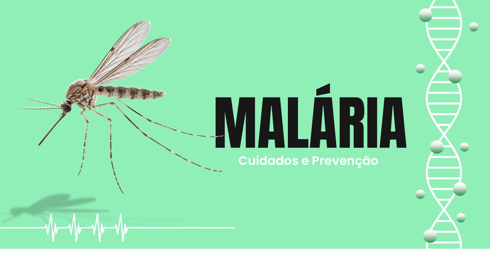 Malária – slide 2