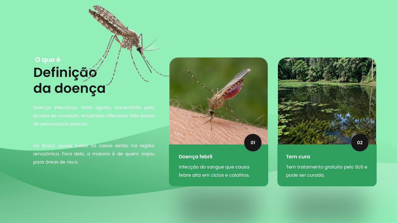 Malária – slide 6
