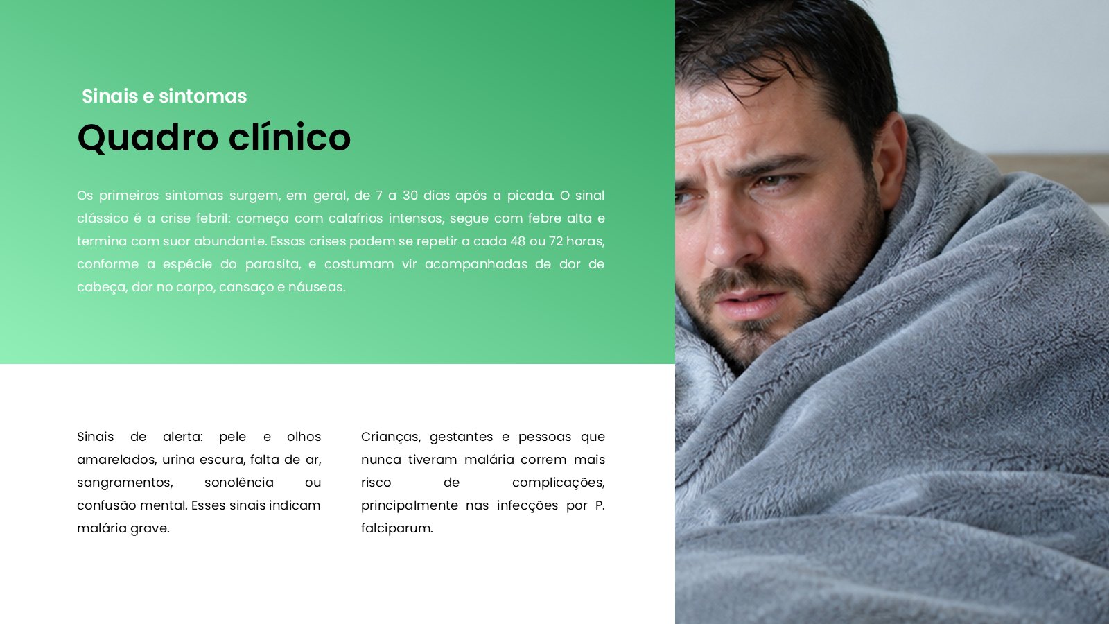 Malária – slide 8