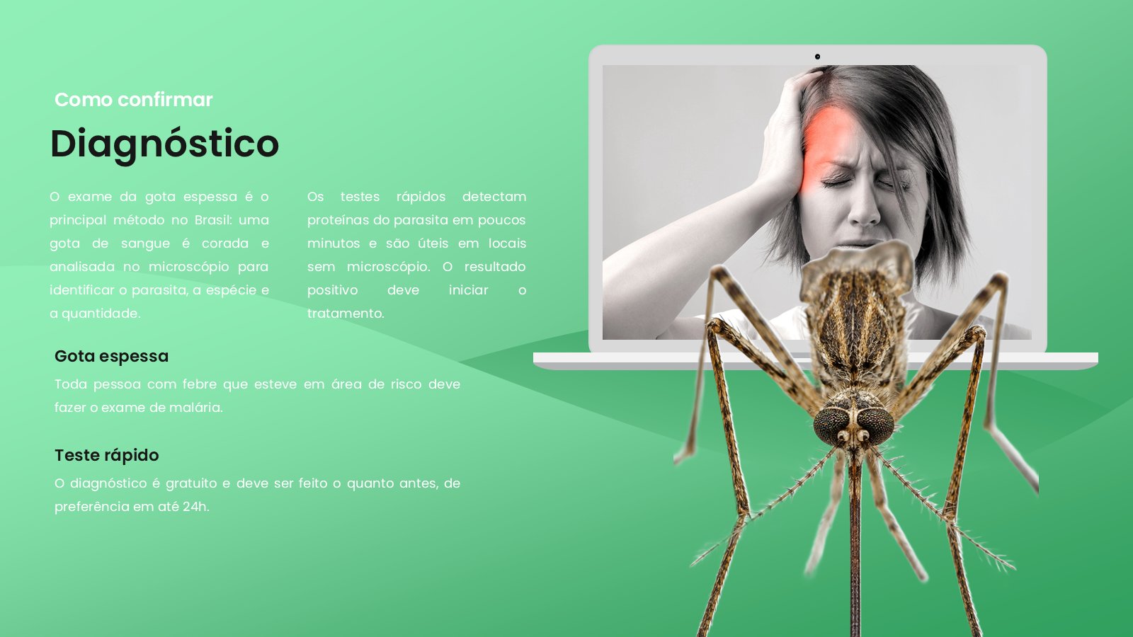 Malária – slide 9