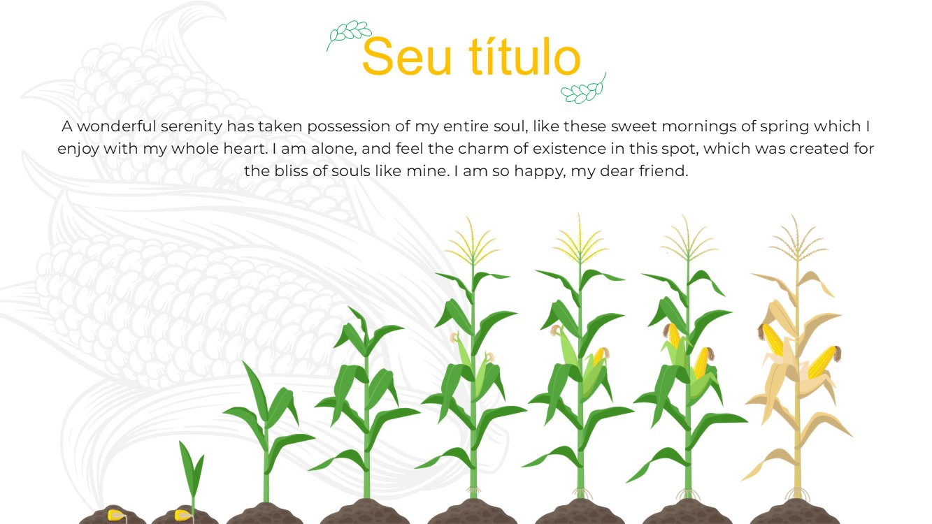 milho-slide6