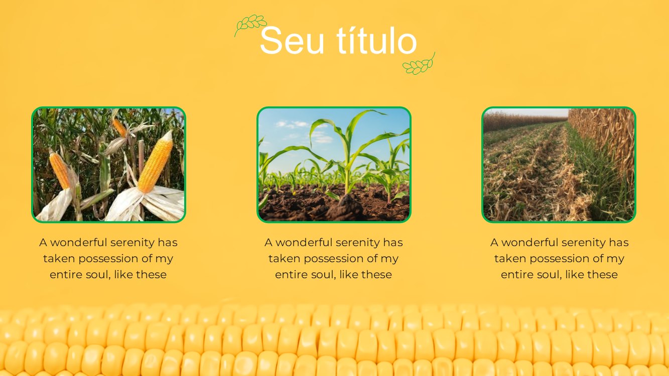 milho-slide8